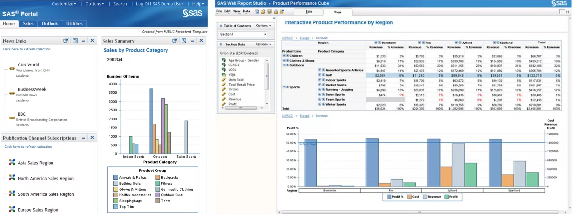 Examples of SAS web reporting and dashboards.