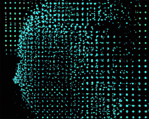 Are generative models smart? Only if you're smarter about what you ask!